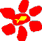 Home - pgr.at